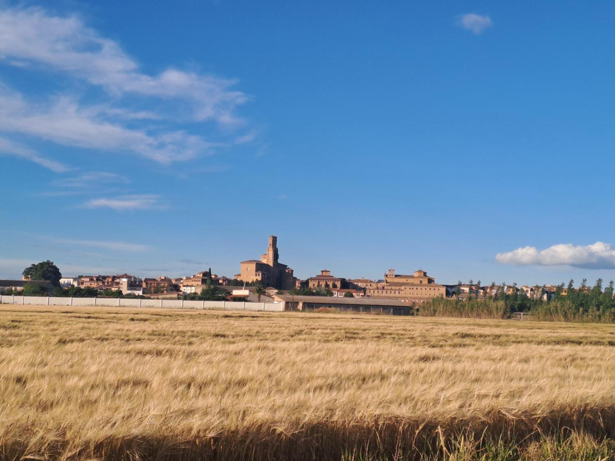 Apto Rural Alesves Esencia De Bardenas Navarra Villafranca Exteriör bild